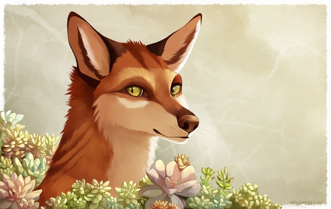 Succulent Fox by MapleSpyder