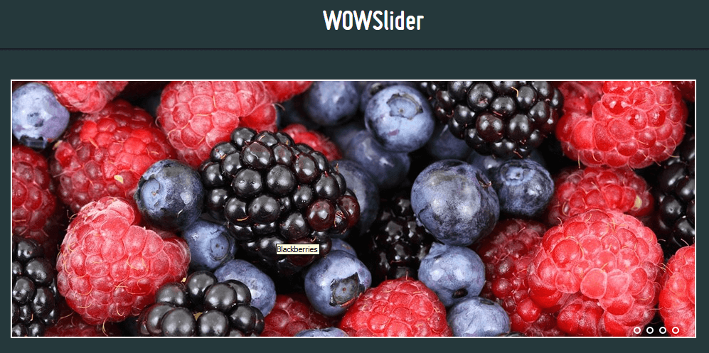 WOWSlider - Pure CSS Slider Example