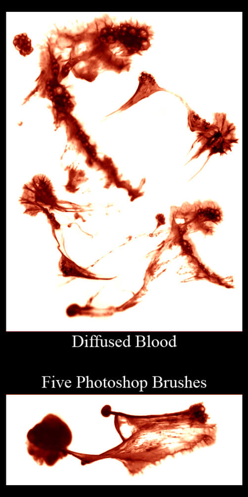 530 - Diffused Blood Set I by Blood--Stock