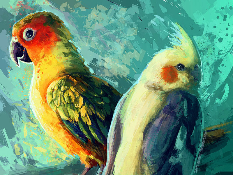 Conure and Cockatiel by FleetingEmber