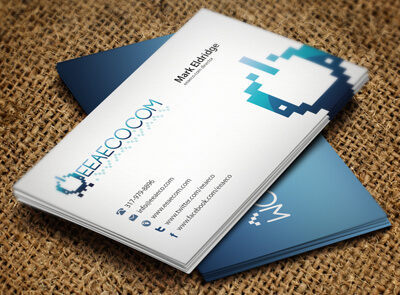 EEAECO.com Business Card Design by vasiligfx
