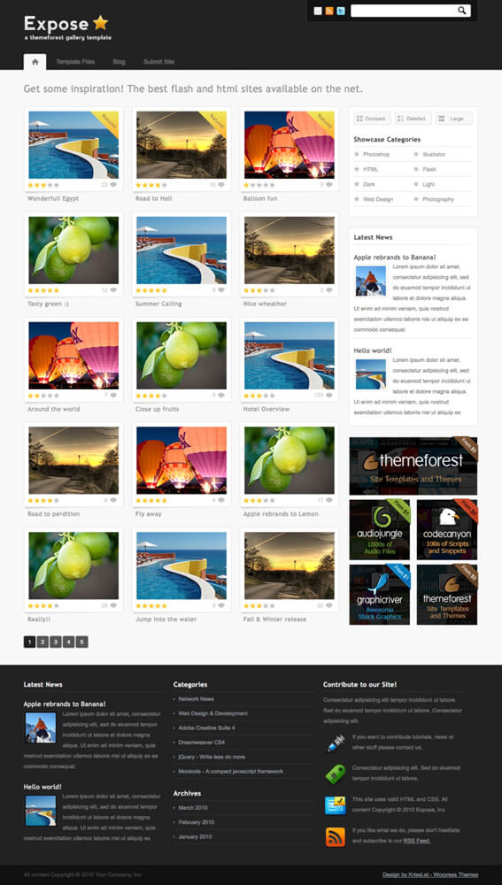 Expose Gallery WordPress Theme by nathanr666