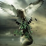 Featured Manipulation Adidas and Nike Shoes Part-1