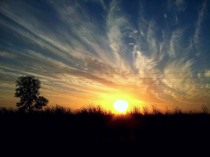 I took this foto when sun was setting! by Bikram Jit Singh