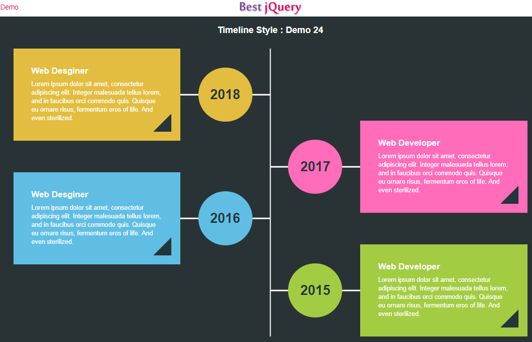 CSS Timeline Style 24
