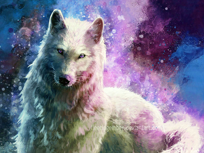 White Wolf Galaxy by FleetingEmber